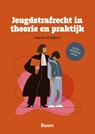 Jeugdstrafrecht in theorie en praktijk - Jolande uit Beijerse - 9789462120235