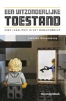 Een uitzonderlijke toestand - Lieneke Slingenberg - 9789462128583