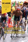 Een klein kutsteentje - Wiep Idzenga - 9789462251250