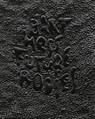 Bart Hess. Future Bodies - Fredric Baas - 9789462262263