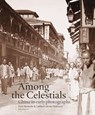 Among the Celestials - Ferry Bertholet ; Lambert van der Aalsvoort ; Regine Thieriez - 9789462300224