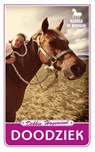 Doodziek - Debby Hogewind - 9789462320543