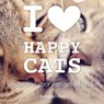 I love Happy Cats - Anneleen Bru - 9789462550834