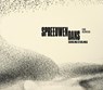 Erik Hijweege - Spreeuwendans - Maartje van den Heuvel ; Koos Dijksterhuis - 9789462625037