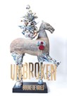 Bouke de Vries Unbroken - Bouke de Vries - 9789462626287