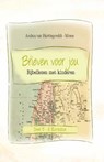 Brieven voor jou / 3 - 2 Korinthe - Andrea Hartingsveldt-Moree - 9789462780149