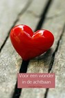 Voor een wonder in de achtbaan - Marijke Maas - 9789463188838