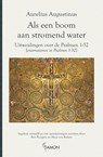 Als een boom aan stromend water - Aurelius Augustinus - 9789463403726