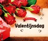 Valentijnsdag - Sally Lee - 9789463411752