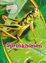 Sprinkhanen - Patrick Perish - 9789463414883