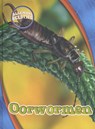 Oorwormen - Patrick Perish - 9789463415101