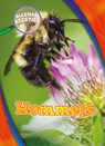 Hommels - Patrick Perish - 9789463415842
