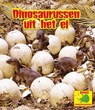 Dinosaurussen uit het ei - Ruth Owen - 9789463416436