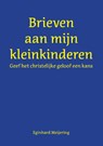 Brieven aan mijn kleinkinderen - Eginhard Meijering - 9789463457989