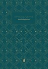 Structuurjunkie Beslisdagboek - Cynthia Schultz - 9789463490979