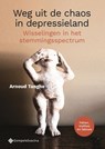 Weg uit de chaos in depressieland - Arnoud Tanghe - 9789463712149