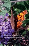 Avonturen met God - Lydia Hagoort - 9789464020250