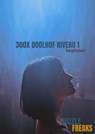 300X DOOLHOF NIVEAU 1 - Puzzle Freaks - 9789464188332