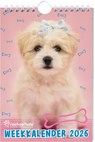 Rachael Hale Honden weekkalender - 2026 - Rachael Hale - 9789464328578