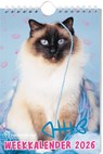 Rachael Hale Katten weekkalender - 2026 - Rachael Hale - 9789464328585
