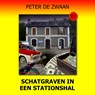 Schatgraven in een stationshal - Peter de Zwaan - 9789464494693