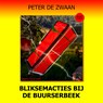 Bliksemacties bij de Buurserbeek - Peter de Zwaan - 9789464496161