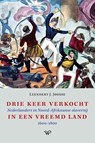 Drie keer verkocht in een vreemd land - Leendert J. Joosse - 9789464560831