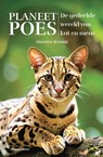 Planeet Poes - Maarten Reesink - 9789464713800