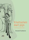 Knutselen met pijn - Giovanni Seynhaeve - 9789464783216
