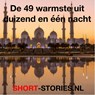 De 49 warmste uit duizend en één nacht - Diverse Auteurs - 9789464932270