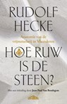 Hoe ruw is de steen? - Rudolf Hecke - 9789464984040