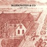 BLIJDENSTEIN & CO (1801-1953) - Ronald Wilfred Jansen - 9789490482572