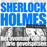 Het avontuur van de drie gevelspitsen - Arthur Conan Doyle - 9789491159909