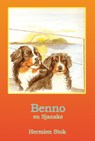 Benno en Sjanske - Hermien Stok - 9789491670176