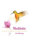 Meditatie - Sri Chinmoy - 9789492066473