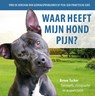 Waar heeft mijn hond pijn? - Renee Tucker - 9789492284259