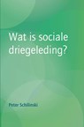Wat is sociale driegeleding? - Peter Schilinski - 9789492326843