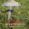 De 9 Affirmaties - Edith Hagenaar - 9789492412065