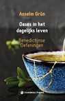 Oases in het dagelijks leven - Anselm Grün - 9789492434340