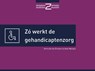 Zó werkt de gehandicaptenzorg - Gertrude van Driesten ; Kees Wessels - 9789493004122