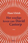 Het woelige leven van David Castorp - Hans Ulrich - 9789493059382