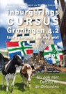 Inburgeringscursus Groningen 4.2 - Herman Sandman ; Frank den Hollander - 9789493170834