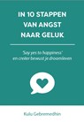 In 10 stappen van angst naar geluk - Kulu Gebremedhin - 9789493187290