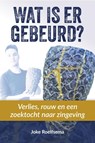 Wat is er gebeurd? - Joke Roelfsema - 9789493198463