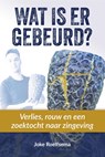 Wat is er gebeurd? - Joke Roelfsema - 9789493198470