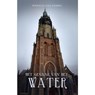 Het gevaar van het water - Ronald van Assen - 9789493233867