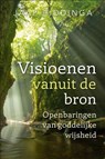 Visioenen vanuit de bron - Jaap Hiddinga - 9789493300828