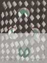 Presence. Ilona Plaum - Hans den Hartog Jager ; Ilona Plaum - 9789493329348