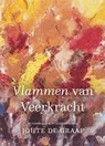 Vlammen van veerkracht - Joute de Graaf - 9789493349537