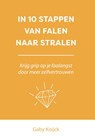 In 10 stappen van falen naar stralen - Gaby Koijck - 9789493355385